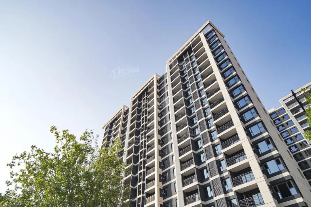 遇建当代上品实景图