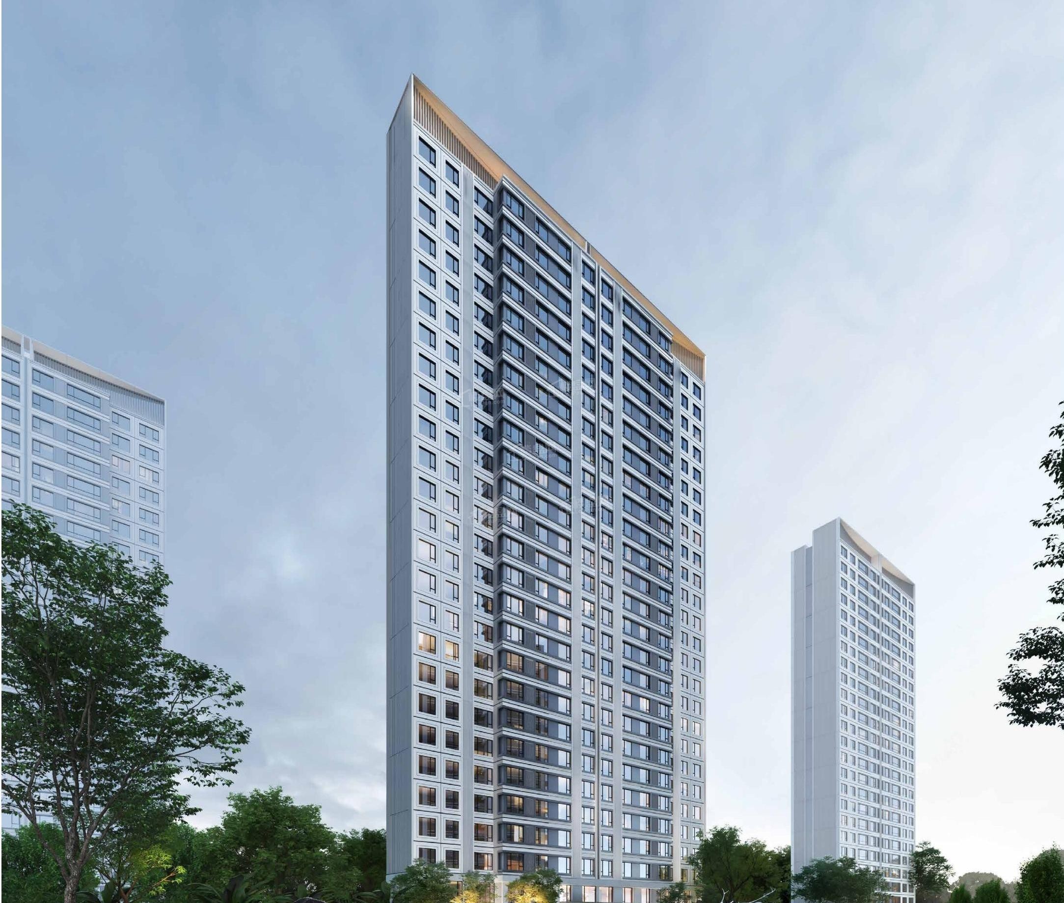 白桦林境效果图