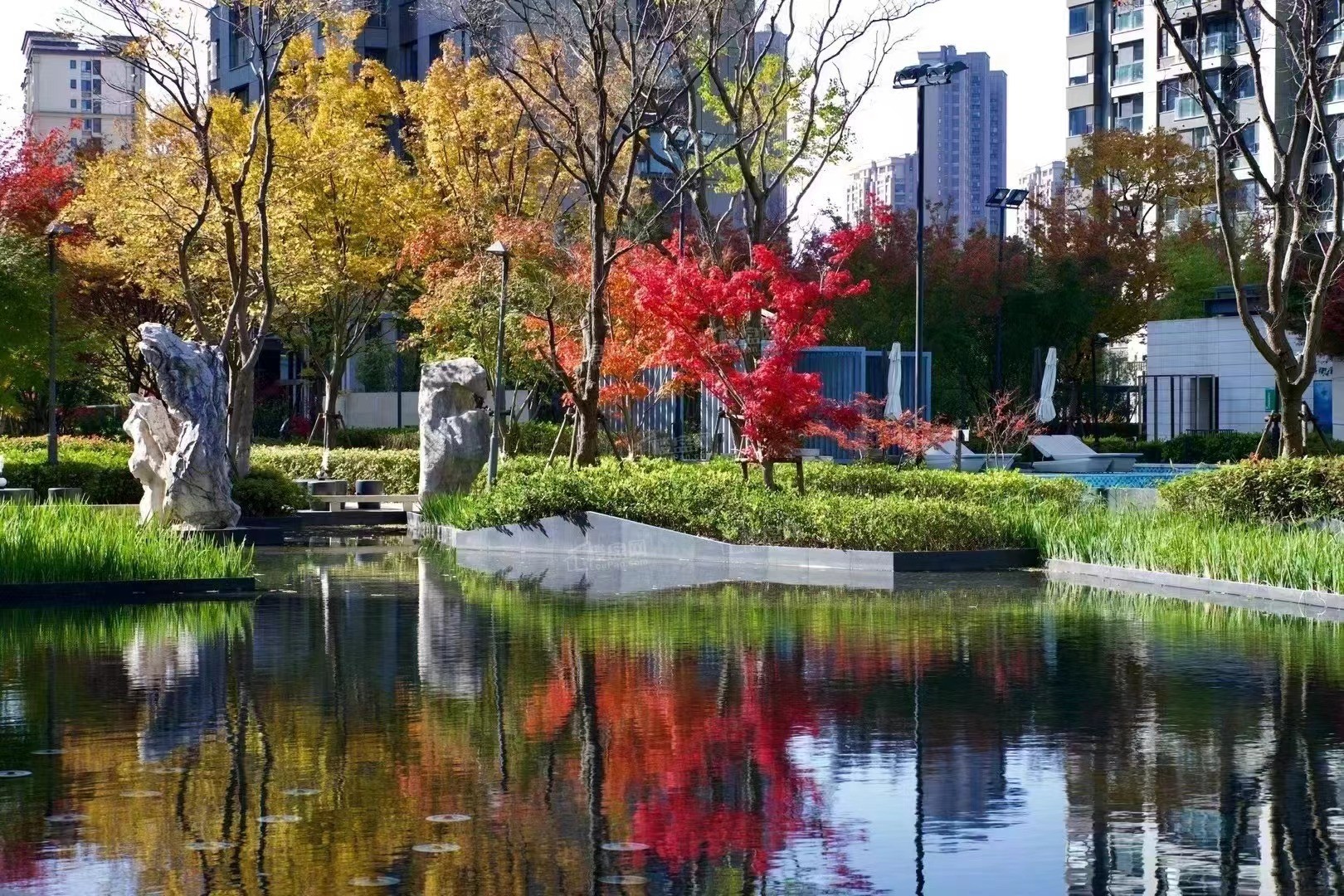 仁恒棠颂实景图
