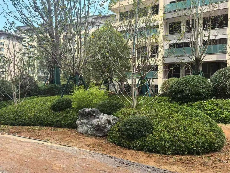 京盛和府实景图