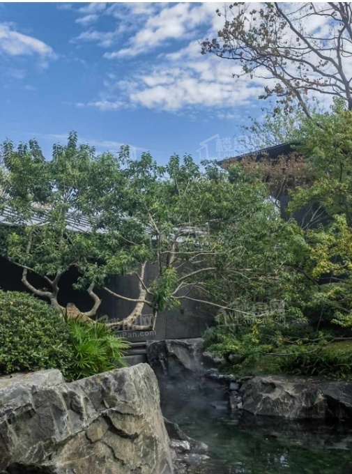 招商蛇口天青府实景图