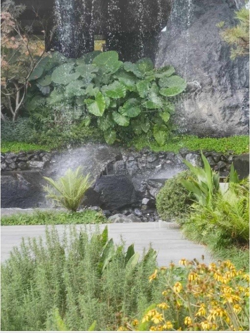 招商蛇口天青府实景图