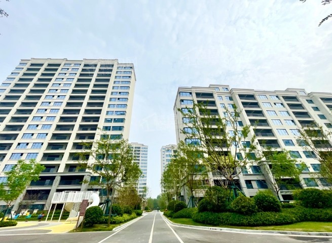扬州良心盘鸿安紫金首府、碧桂园十里芳华怎么选?