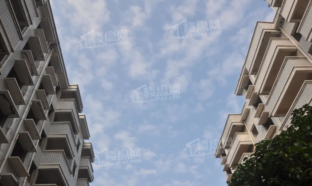 宏威花苑铂悦府实景图