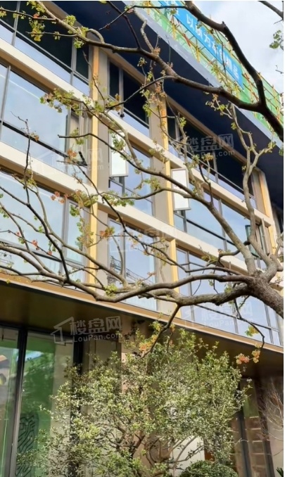 长沙瑞府 实景图