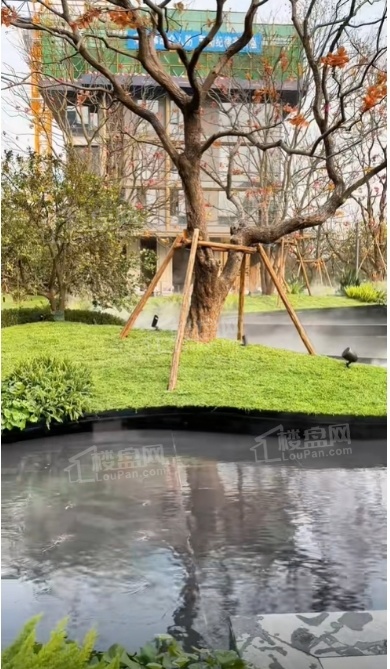 长沙瑞府 实景图