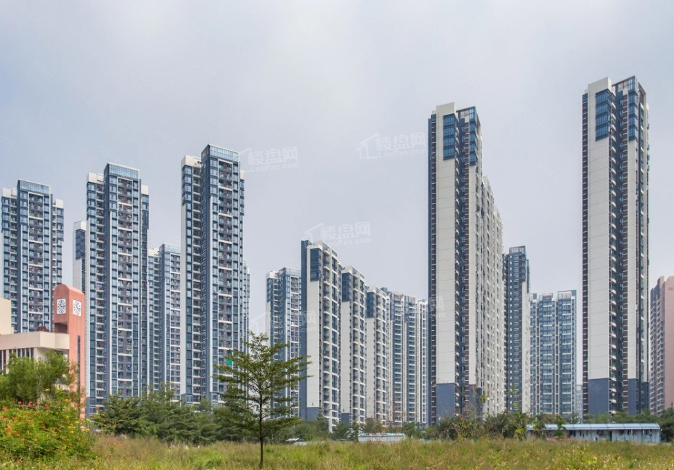 买房怎么选？南丽苑周边交通怎么样？来看深度解析