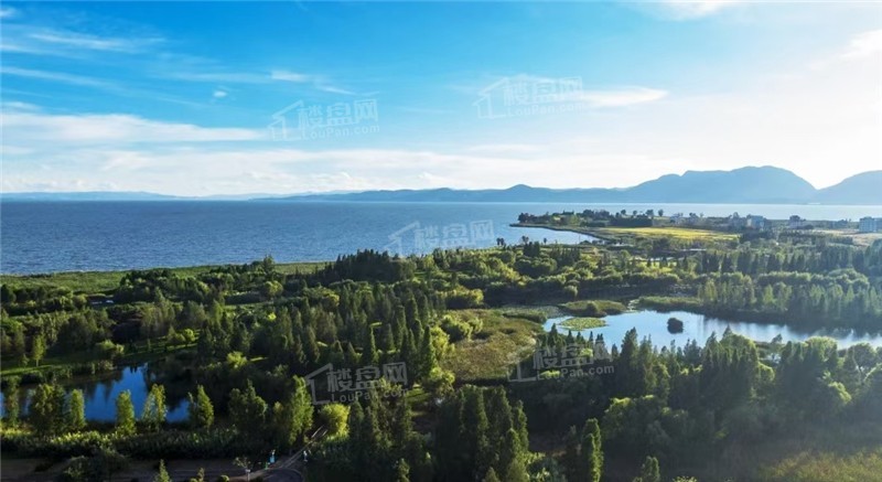 万科都会半岛配套图