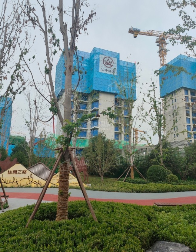 花溪北岸实景图