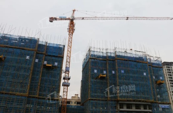 好房推荐！和谐华府在售户型有哪些？开发商可靠吗？