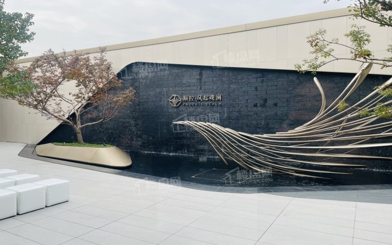 顺控凤起观澜实景图