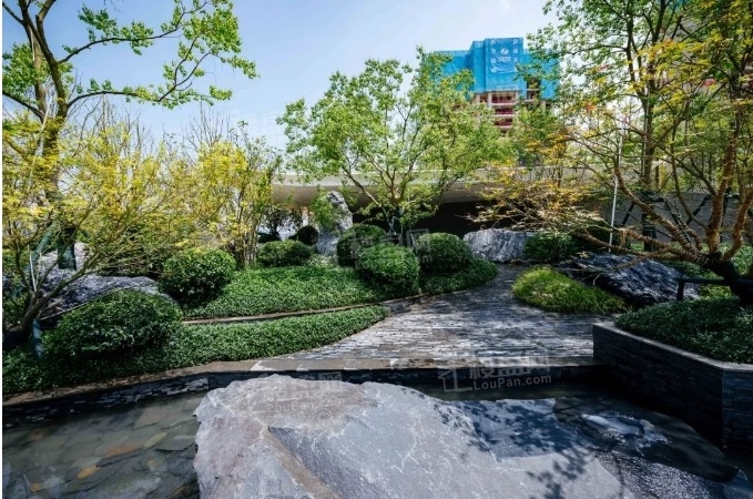 长房欣望府实景图