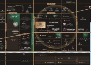 地雍阳印峯层接待中心于3月8日开放同步启动排卡