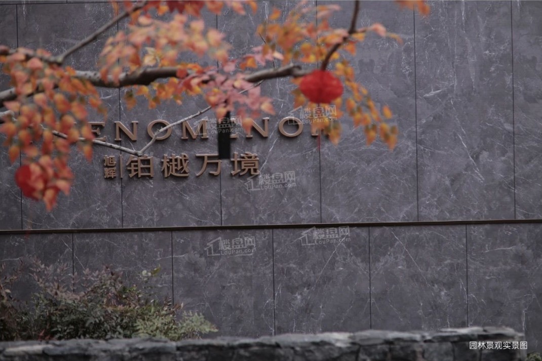 旭辉铂樾万境实景图