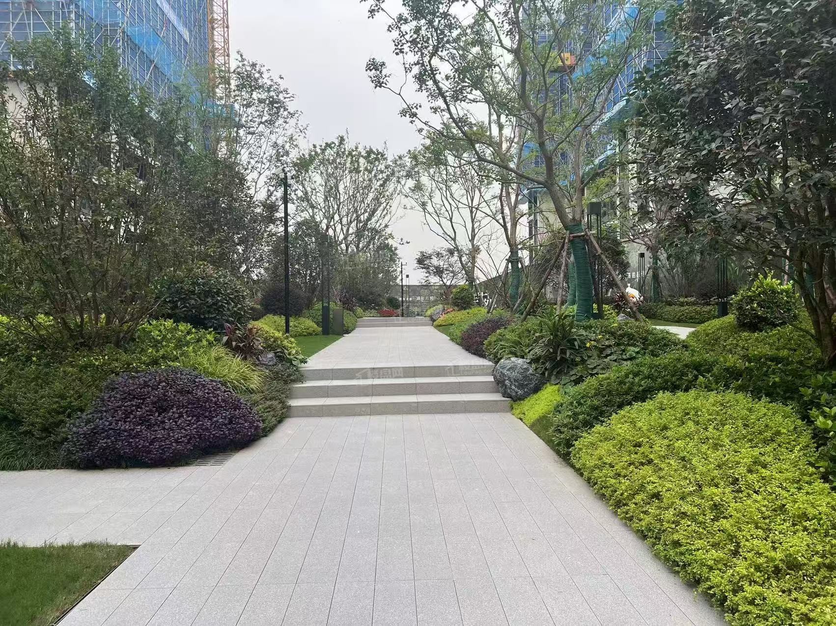 通和云苑实景图