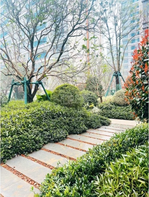 中海寰宇天下实景图