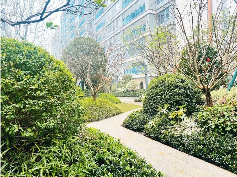 中海寰宇天下实景图