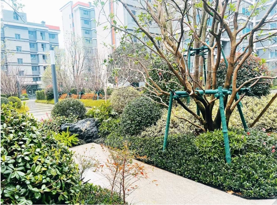 中海寰宇天下实景图