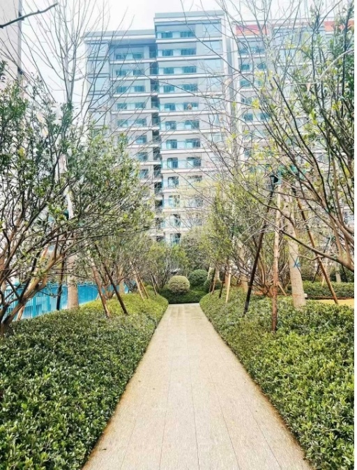 中海寰宇天下实景图