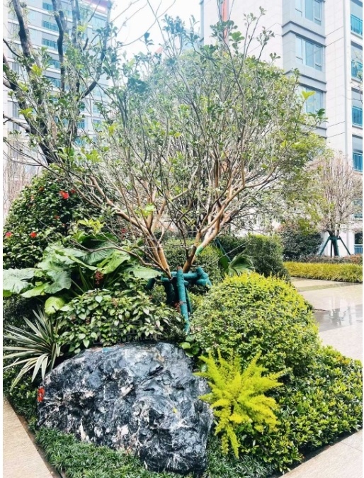 中海寰宇天下实景图