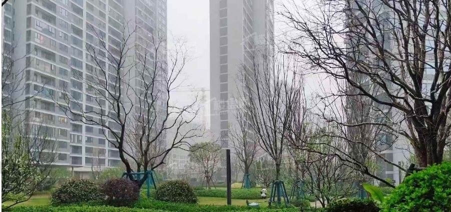 万科森林公园实景图