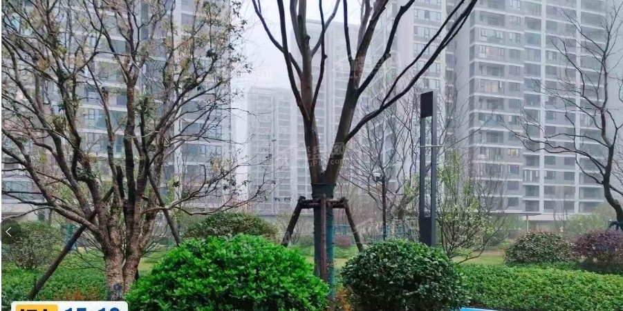 万科森林公园实景图