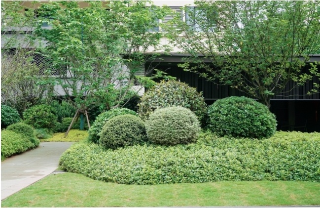 京盛和府实景图