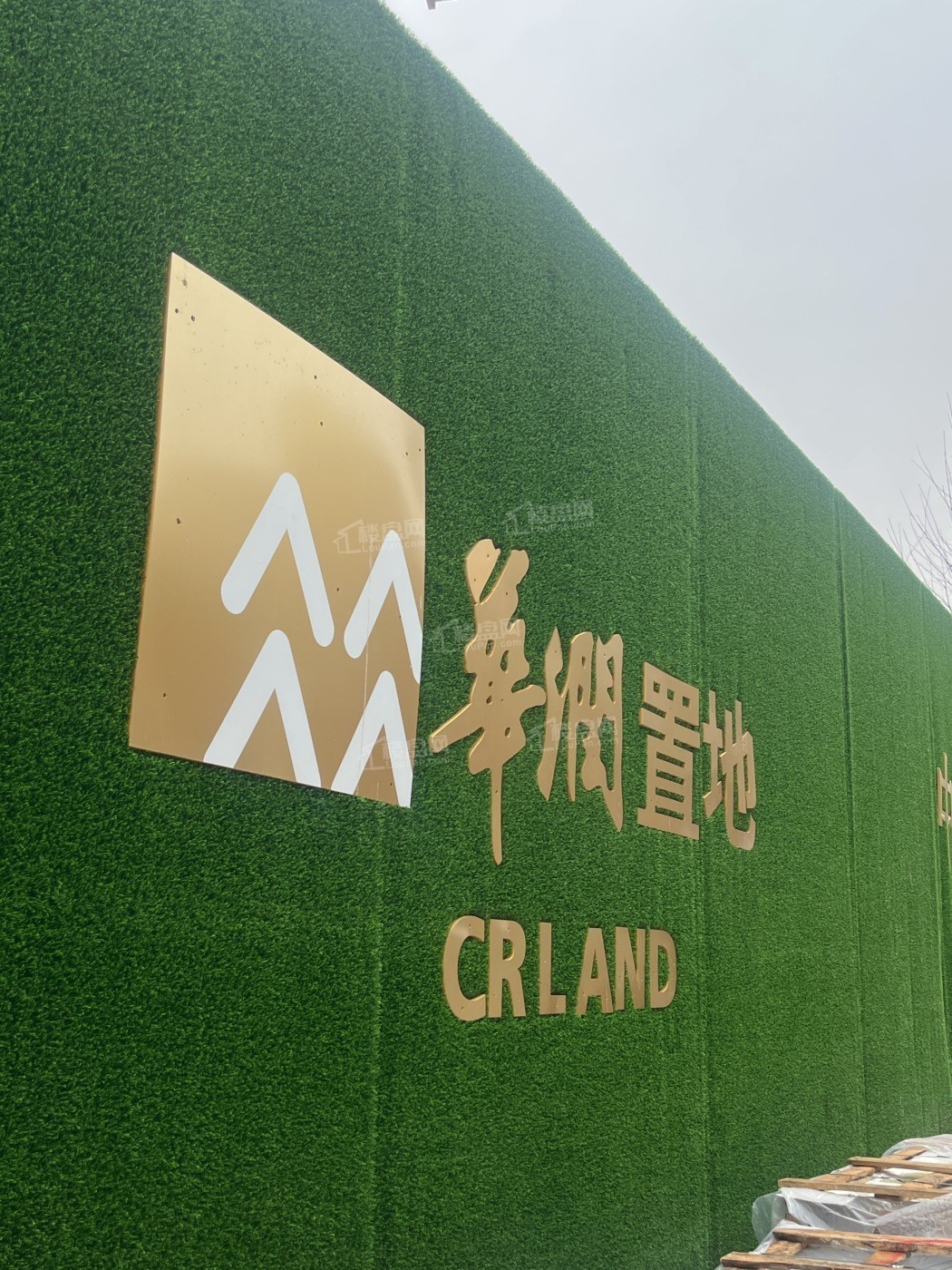 中寰悦府实景图