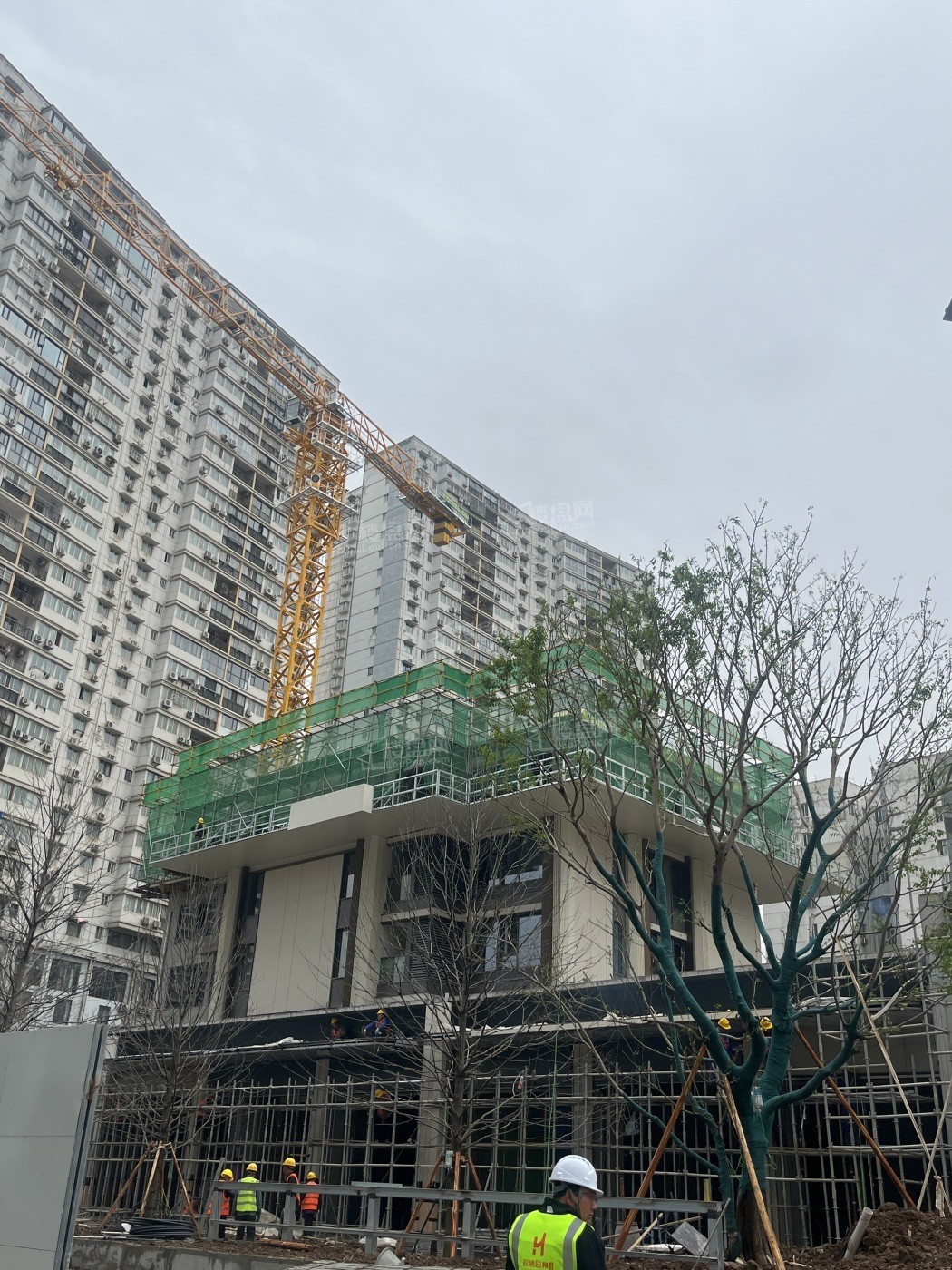 中寰悦府实景图