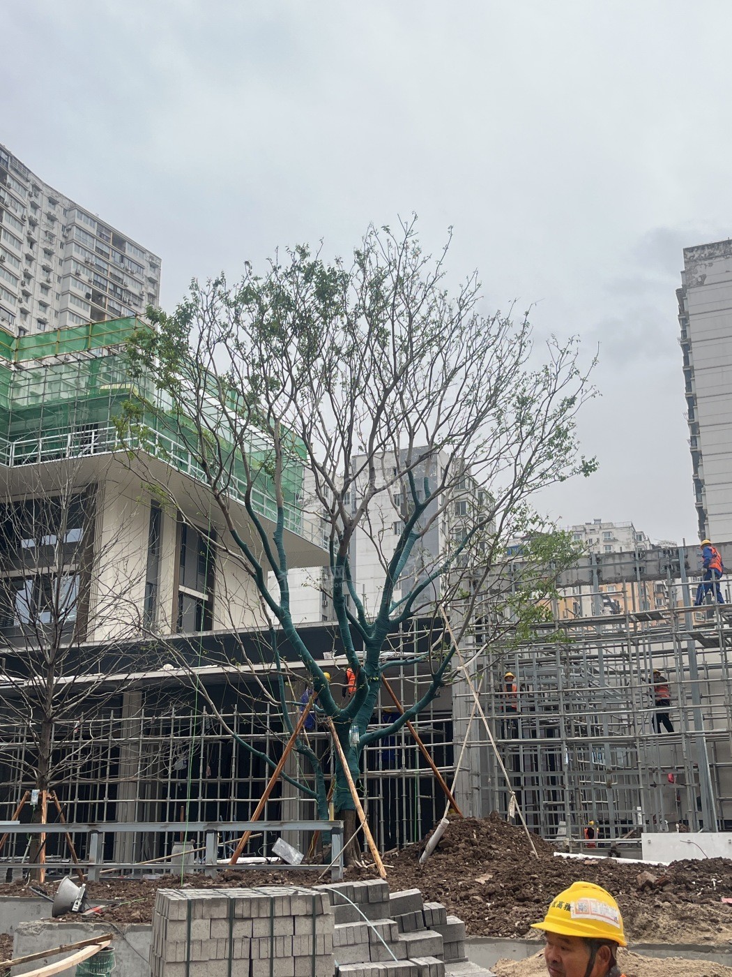 中寰悦府实景图