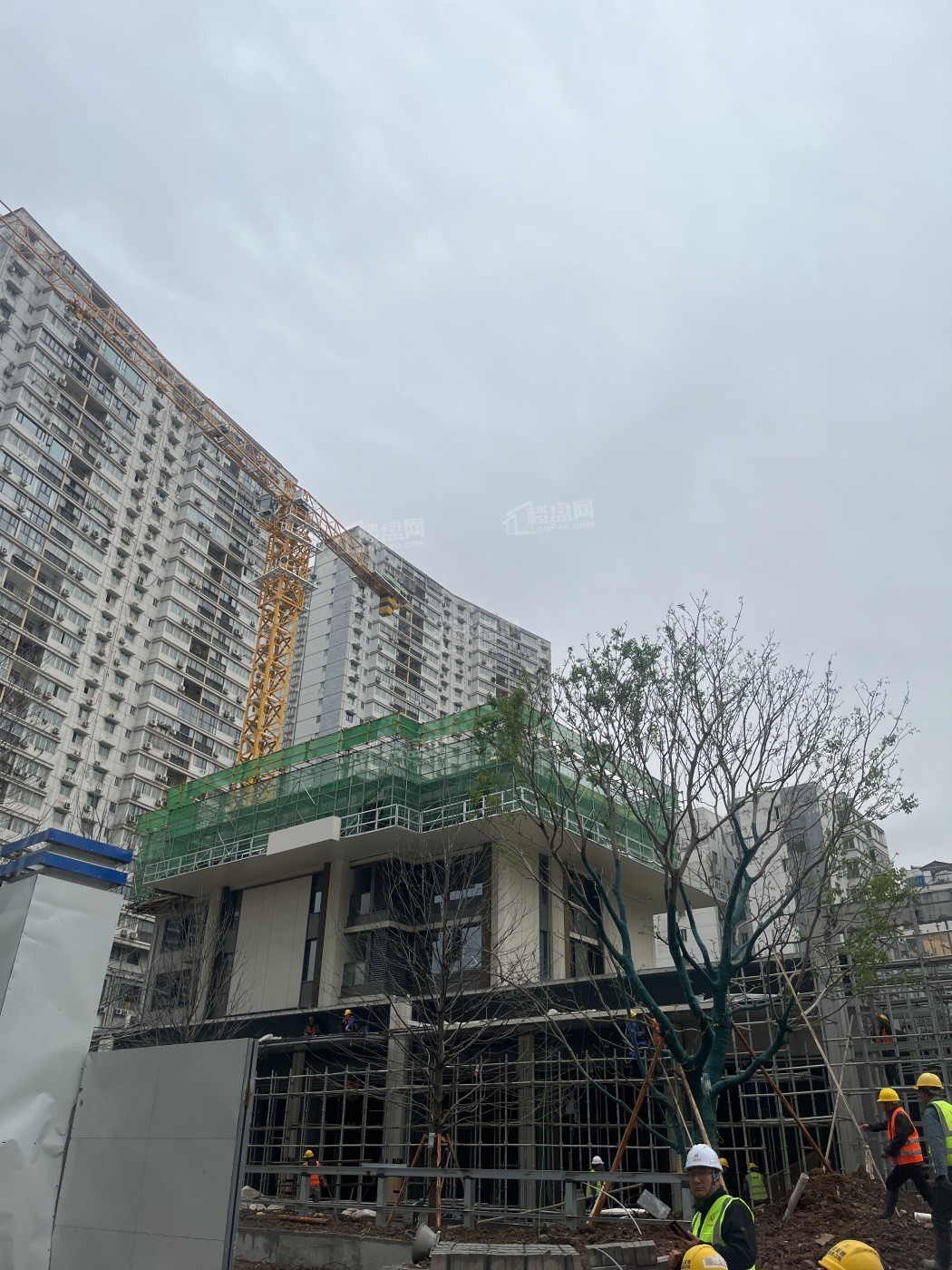 中寰悦府实景图