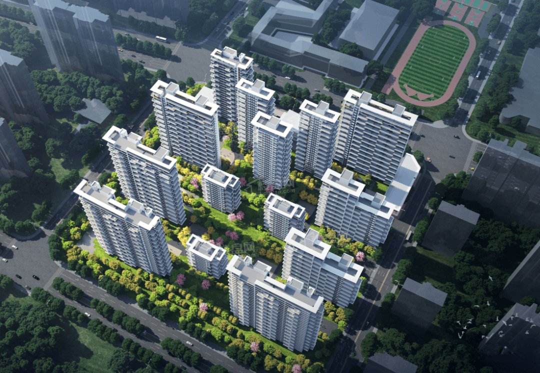 西安白桦林晓高清图