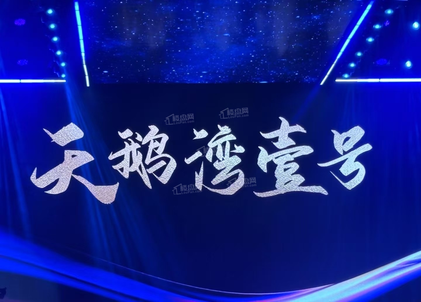 蜀山区SS202408号地块案名发布：天鹅湾壹号