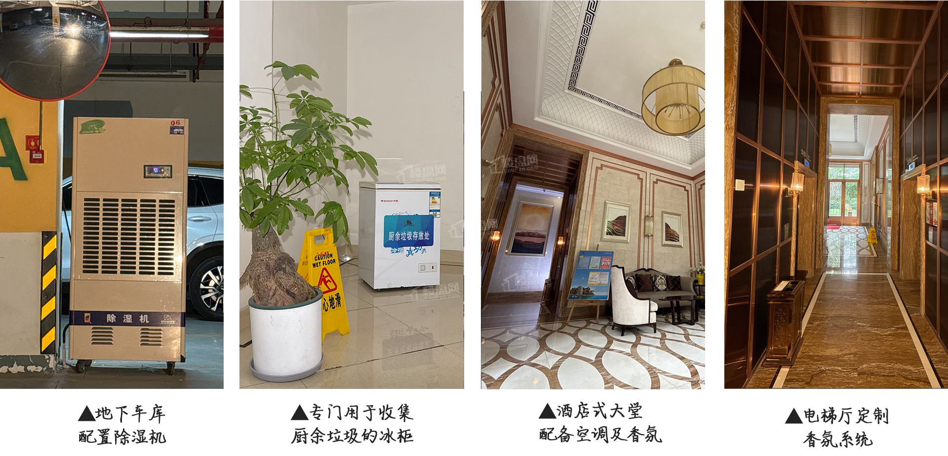 效果图