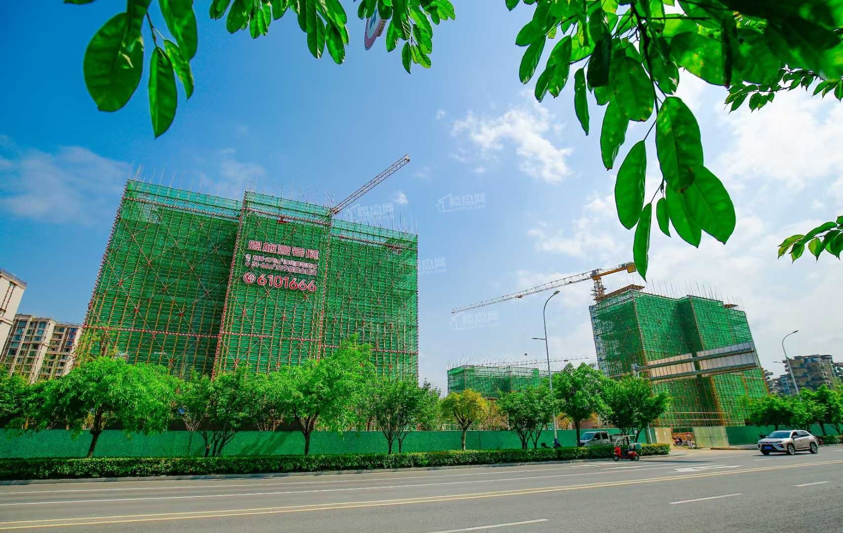 实景图