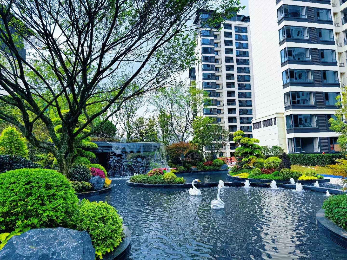 实景图