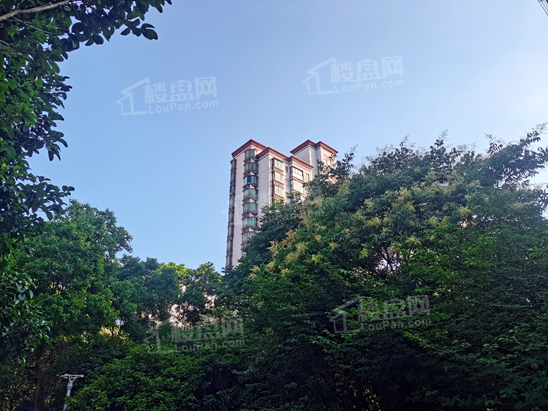 经纬学府涵青效果图