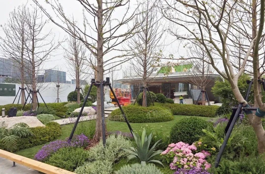 招商林屿湖畔效果图