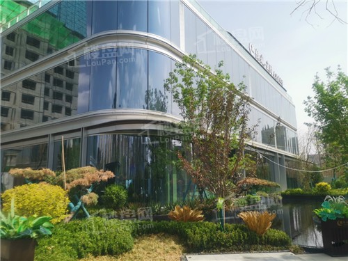 兰州绿城诚园高清图