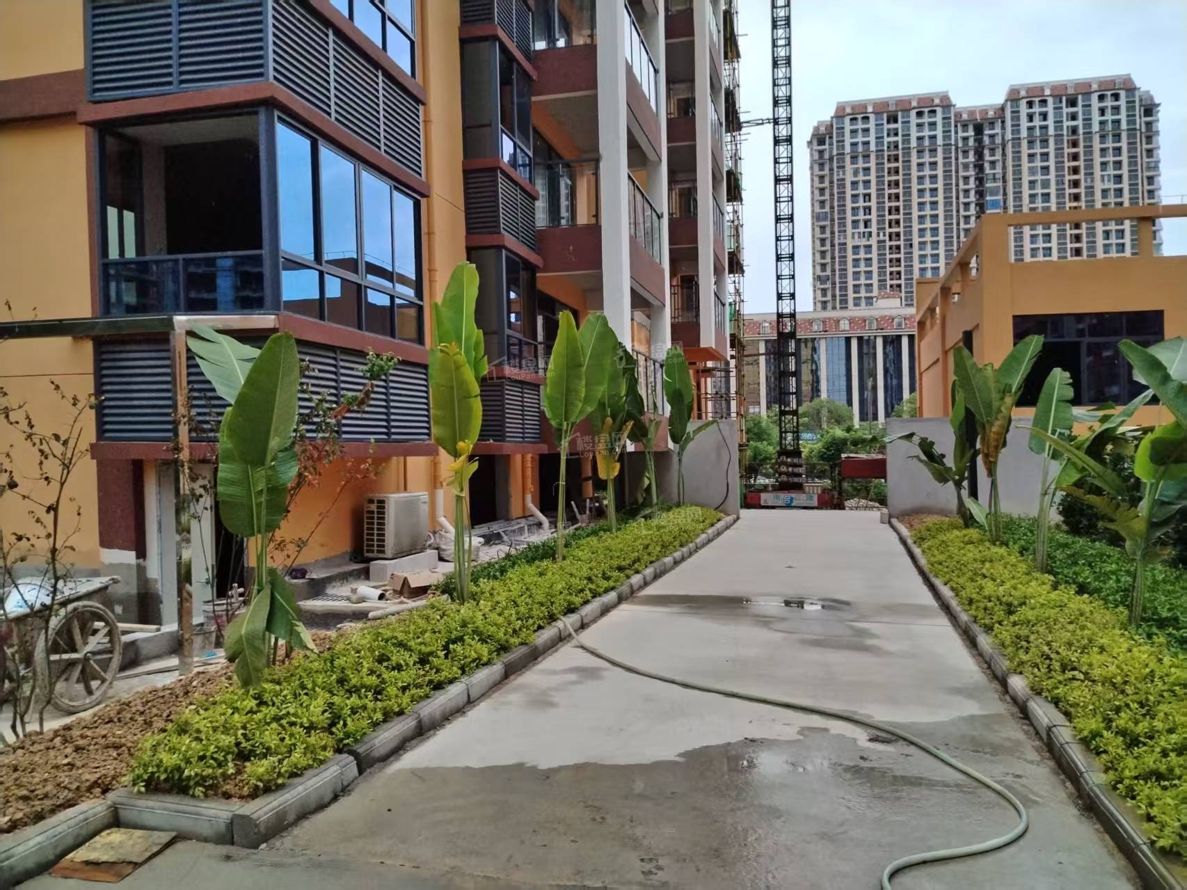 邦德民族花园实景图