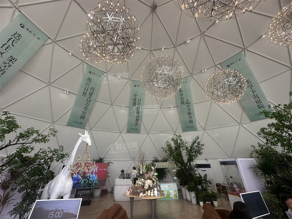 鹏飞·天一格实景图