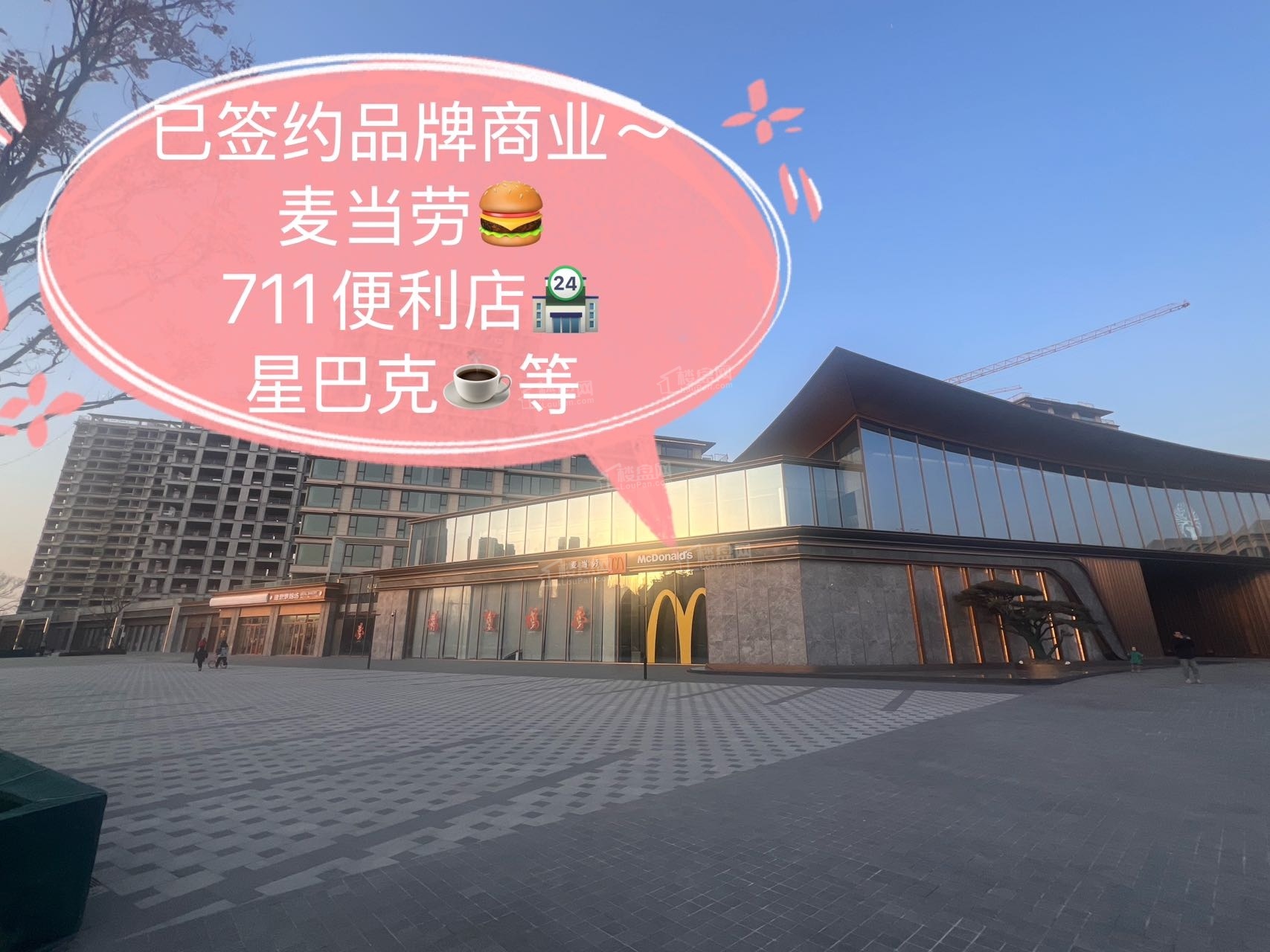 中建·理想城实景图