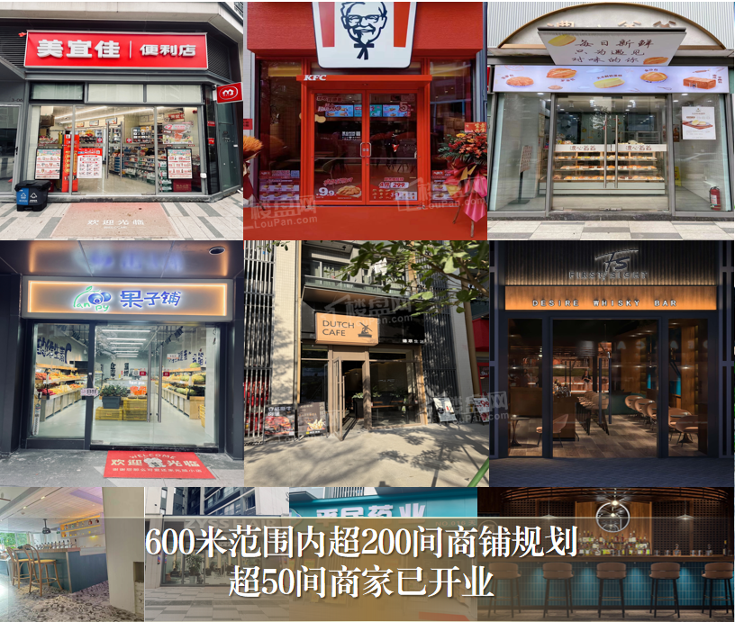 保利辰园湖境配套图