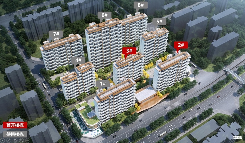 为您推荐白桦林书香