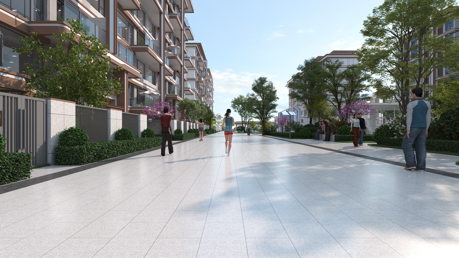 领航名著效果图