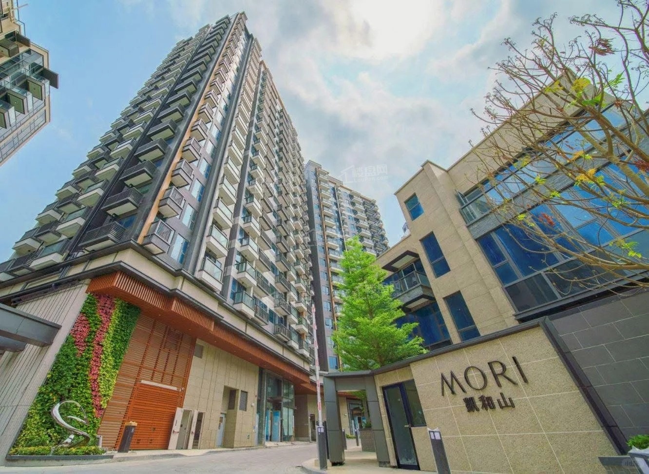 为您推荐凯和山MORI