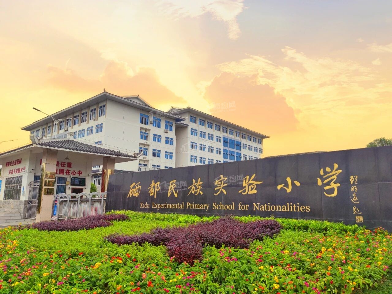 实景图
