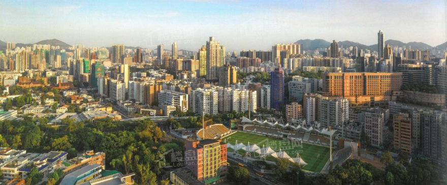 实景图