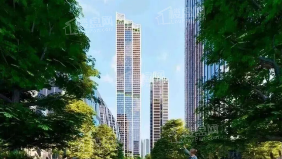 深圳湾云玺_深圳深圳湾云玺房价_楼盘怎么样-深圳楼盘网