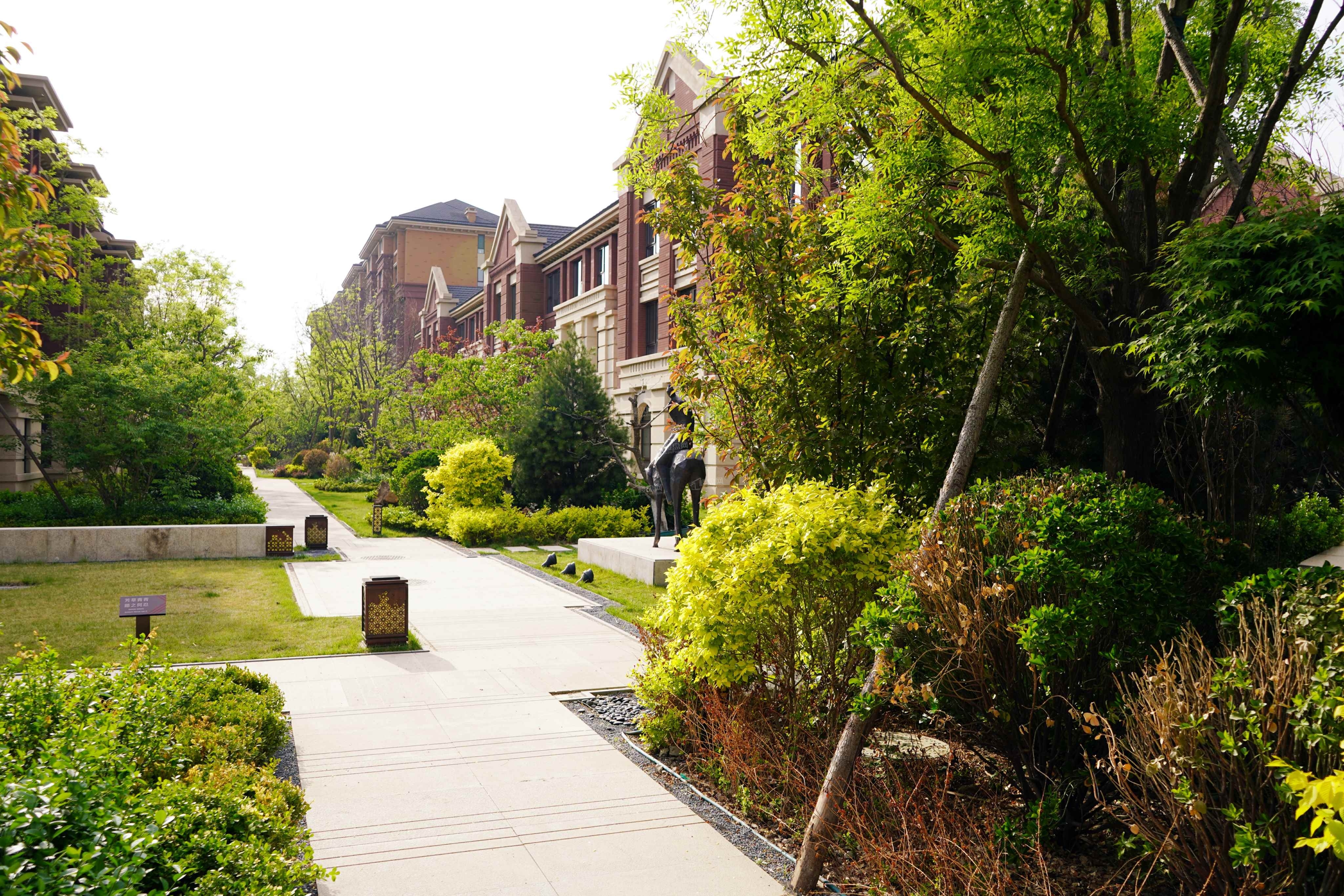 鲁能泰山7号实景图